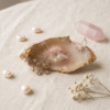 【Never】AETHERIUS OCULUS: The Mystic Oyster Gaze & Gold Butterfly Brooch
