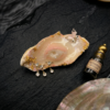 【Never】AETHERIUS OCULUS: The Mystic Oyster Gaze & Gold Butterfly Brooch